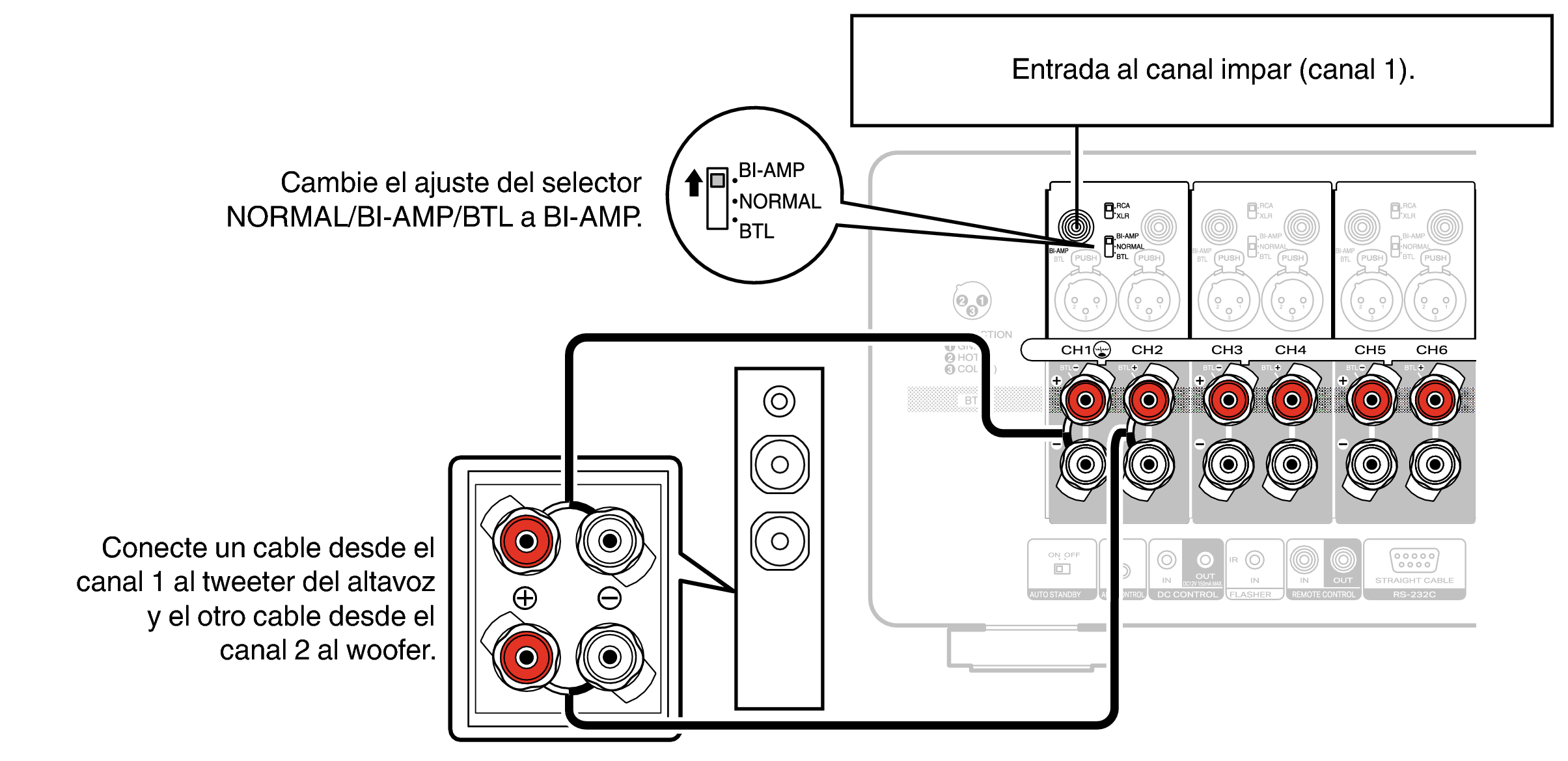 Conne SP BiAmp AMP20